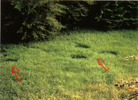 Tập tin:Landing-tracks-28-june-1976.jpg