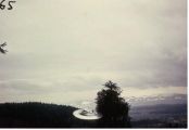 #65.[34] Semjase flying with her beamship around a wettertanne (weather pine) 14m height (the tree later eliminated by Semjase). Pfaffikersee in background. 9th July 1975.