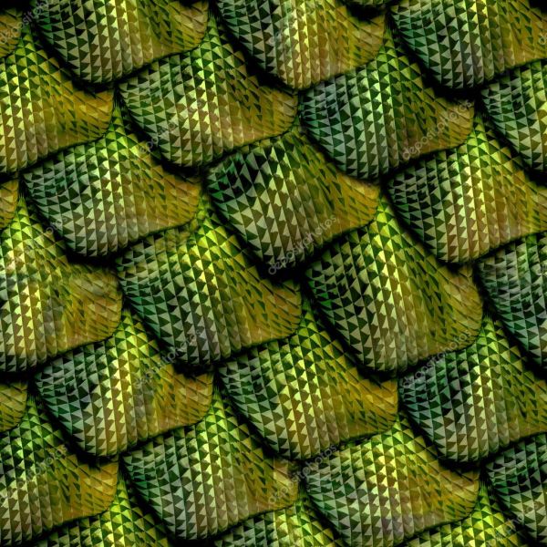 Tập tin:Reptile-scale.jpg