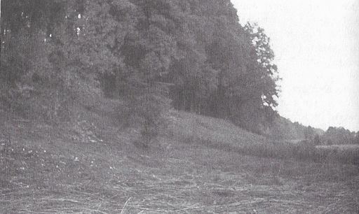 At a later date Semjase eliminated a 5 m fir tree, which was followed by a small beech bush (both clearly visible in the middle of the picture). (Photo: "Billy" Eduard Albert Meier)