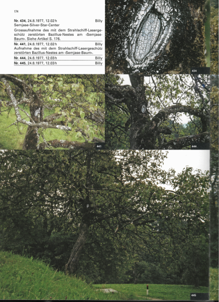 Tập tin:Photo-Inventarium p174.png