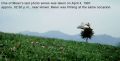 Hình xem trước của phiên bản lúc 17:06, ngày 3 tháng 5 năm 2010