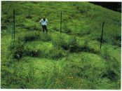 Billy standing next to a landing track on 15th May 1980.