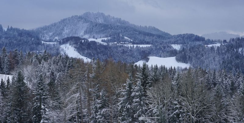 Tập tin:Nearby SSSC 138.jpg