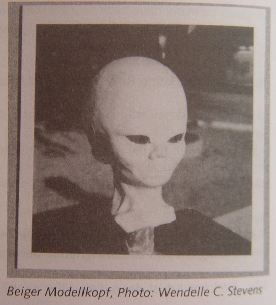 Tập tin:The Beige (Whitish-Brown) Model Head.jpeg