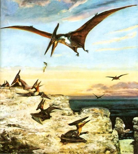 Tập tin:Pteranodon-painted-by-Zdenek-Burian.jpg